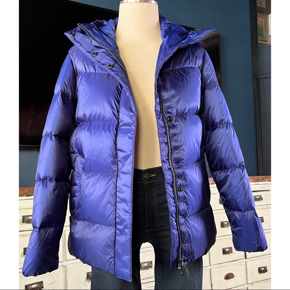 Everlane Cobalt Blue Down Parka Puff Jacket S
